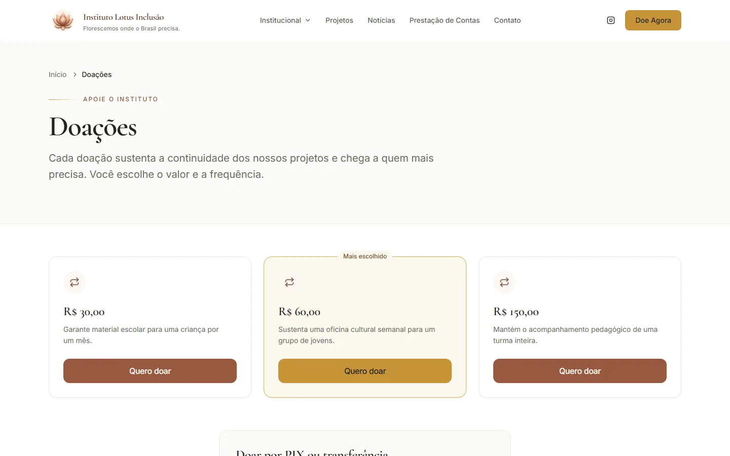 Página de doações do site do Instituto Lotus, feito pela FS Leaders